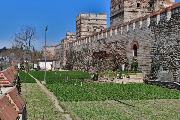 istanbul belgrade gate gardening