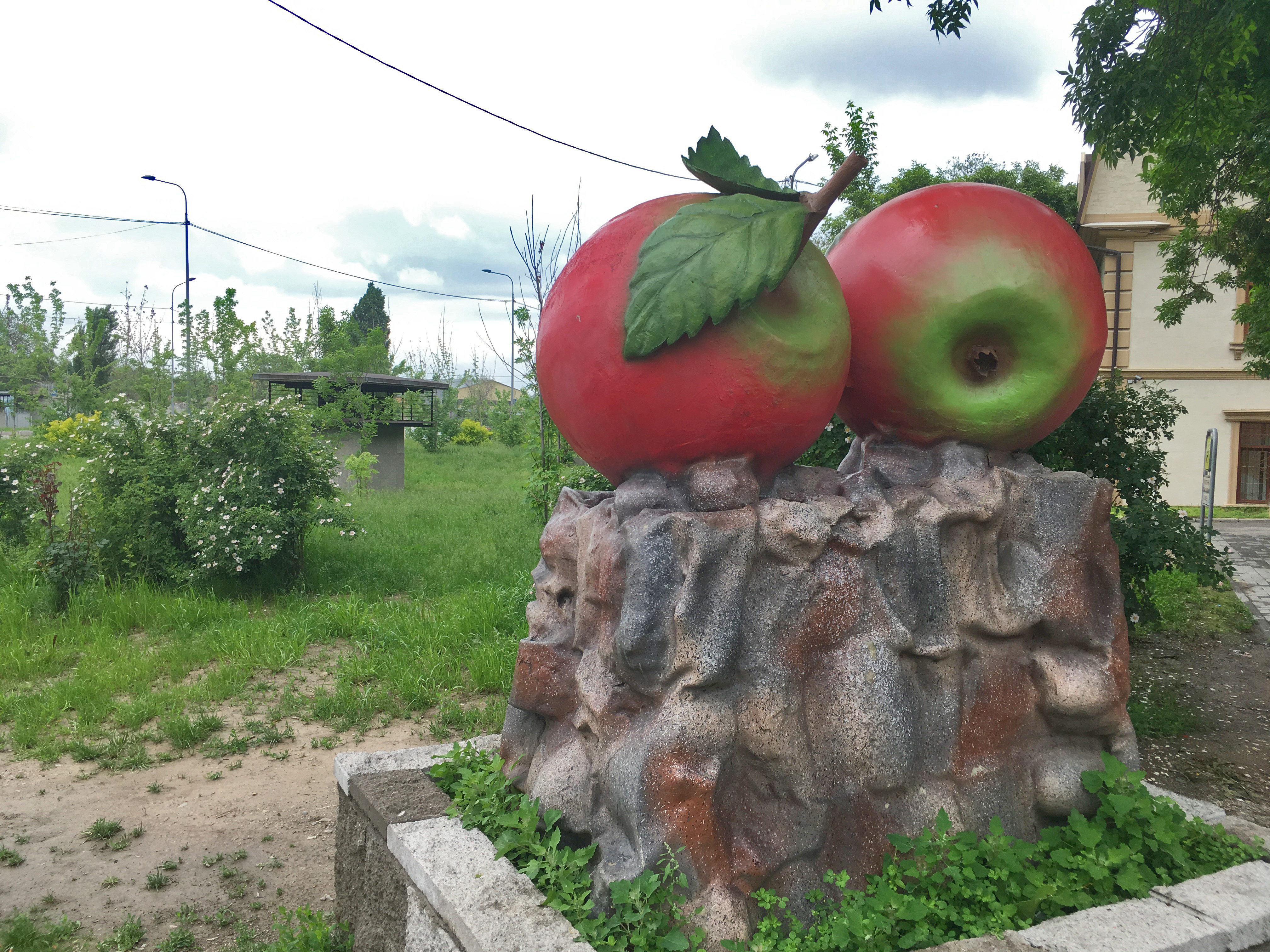 pair apples Almaty Kazakhstan