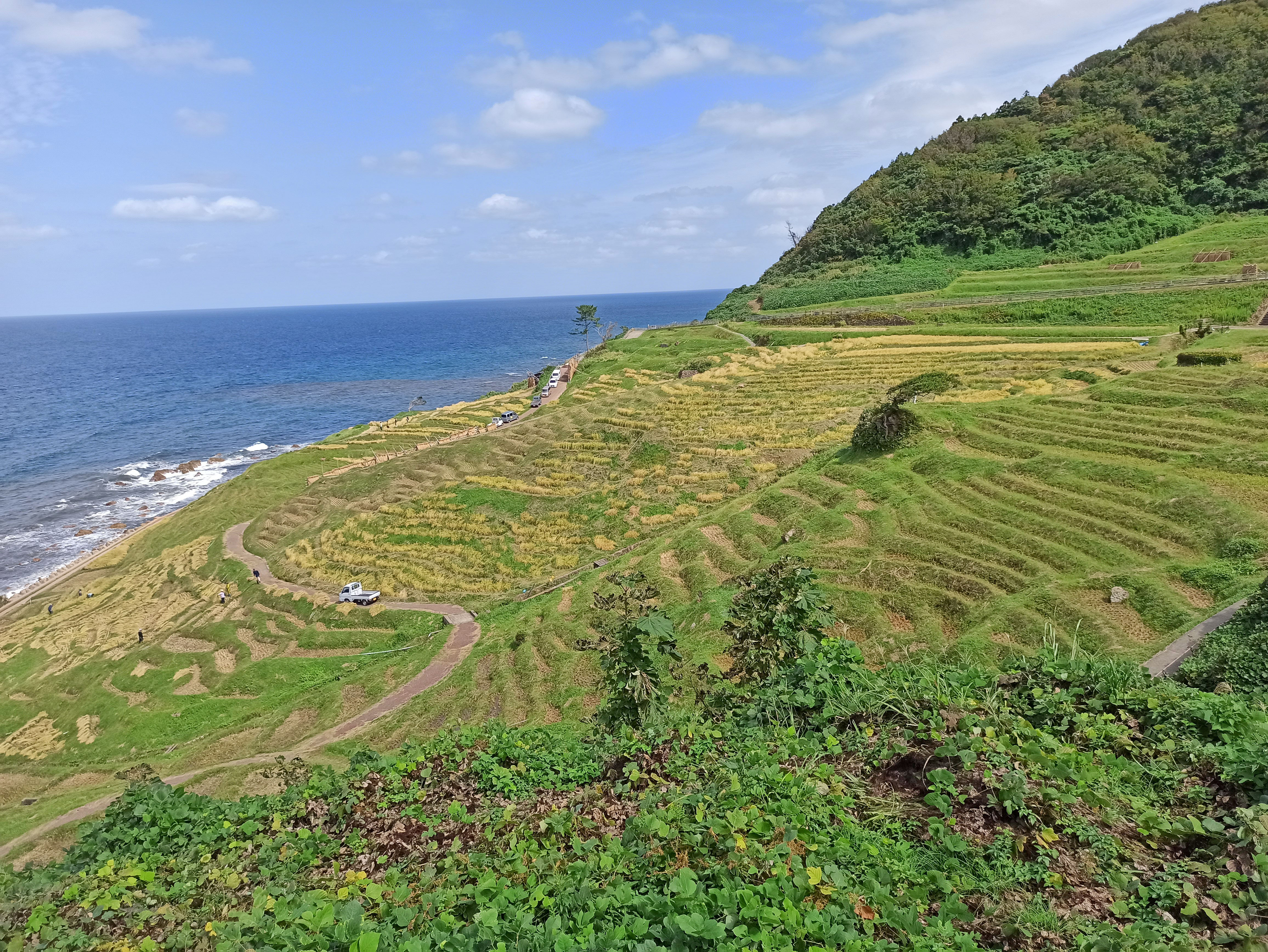 Senmaida Rice Terraces Noto Japan