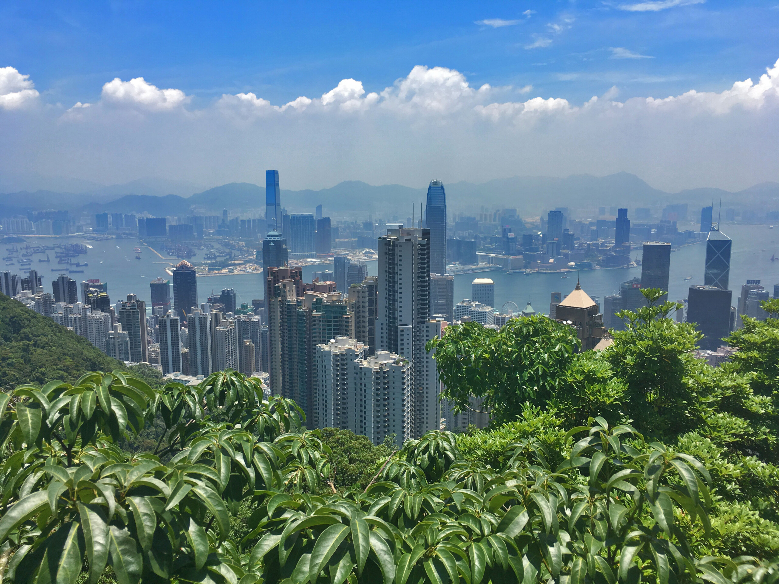 Hong Kong Skyline victoria peak