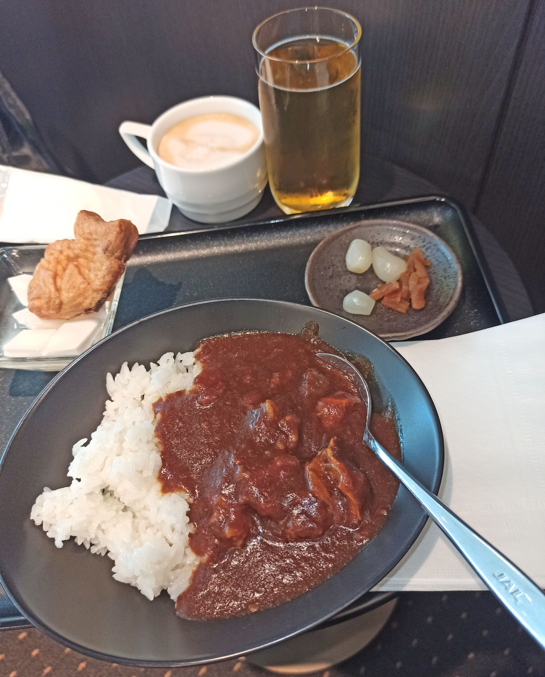 Beef Curry and Taiyaki