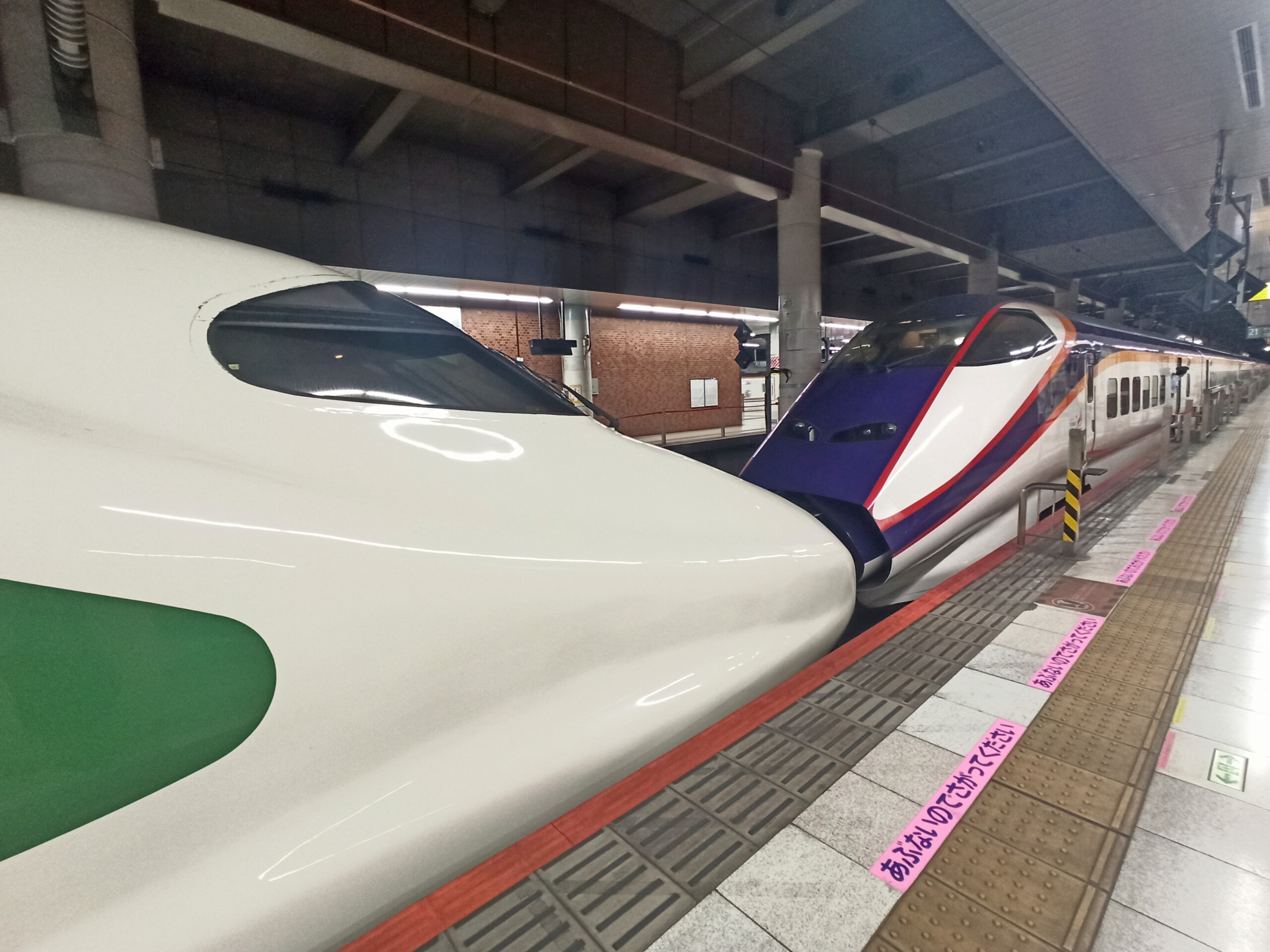 Two Shinkansen Linked Together at Ueno Station, Tokyo