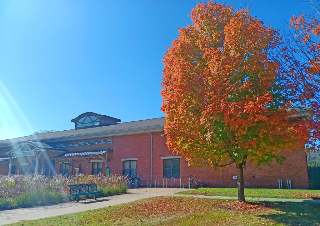 a tree in front of a building