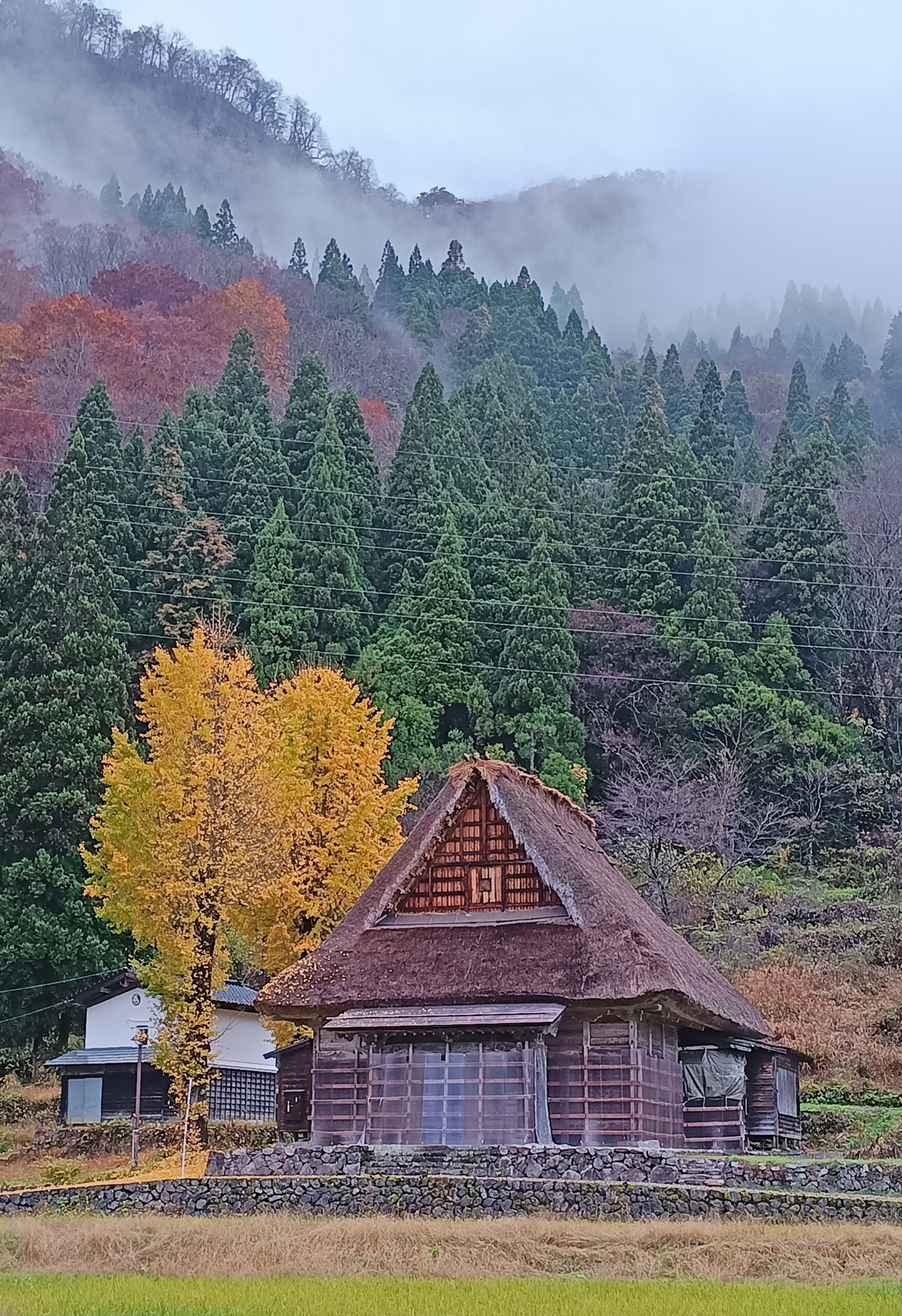 Fall foliage in Ainokura