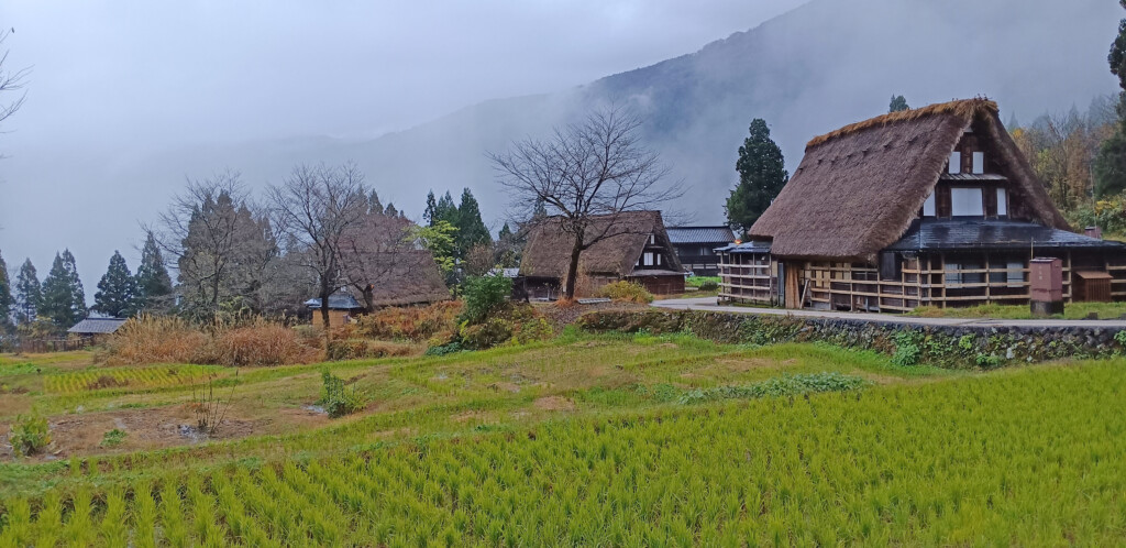 a green field with grass and buildings in the background