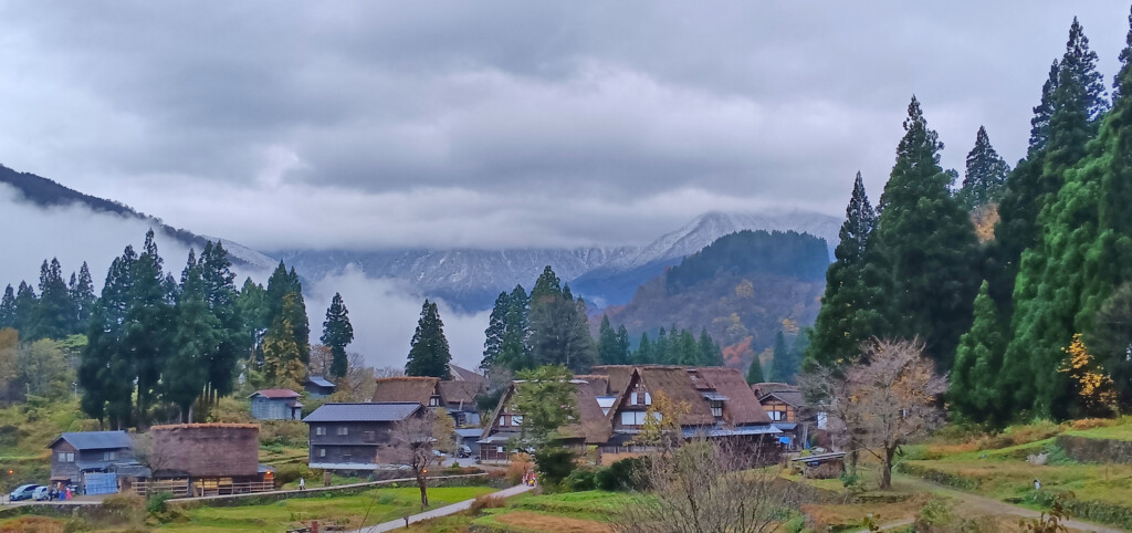 a group of houses in a valley with trees and mountains in the background