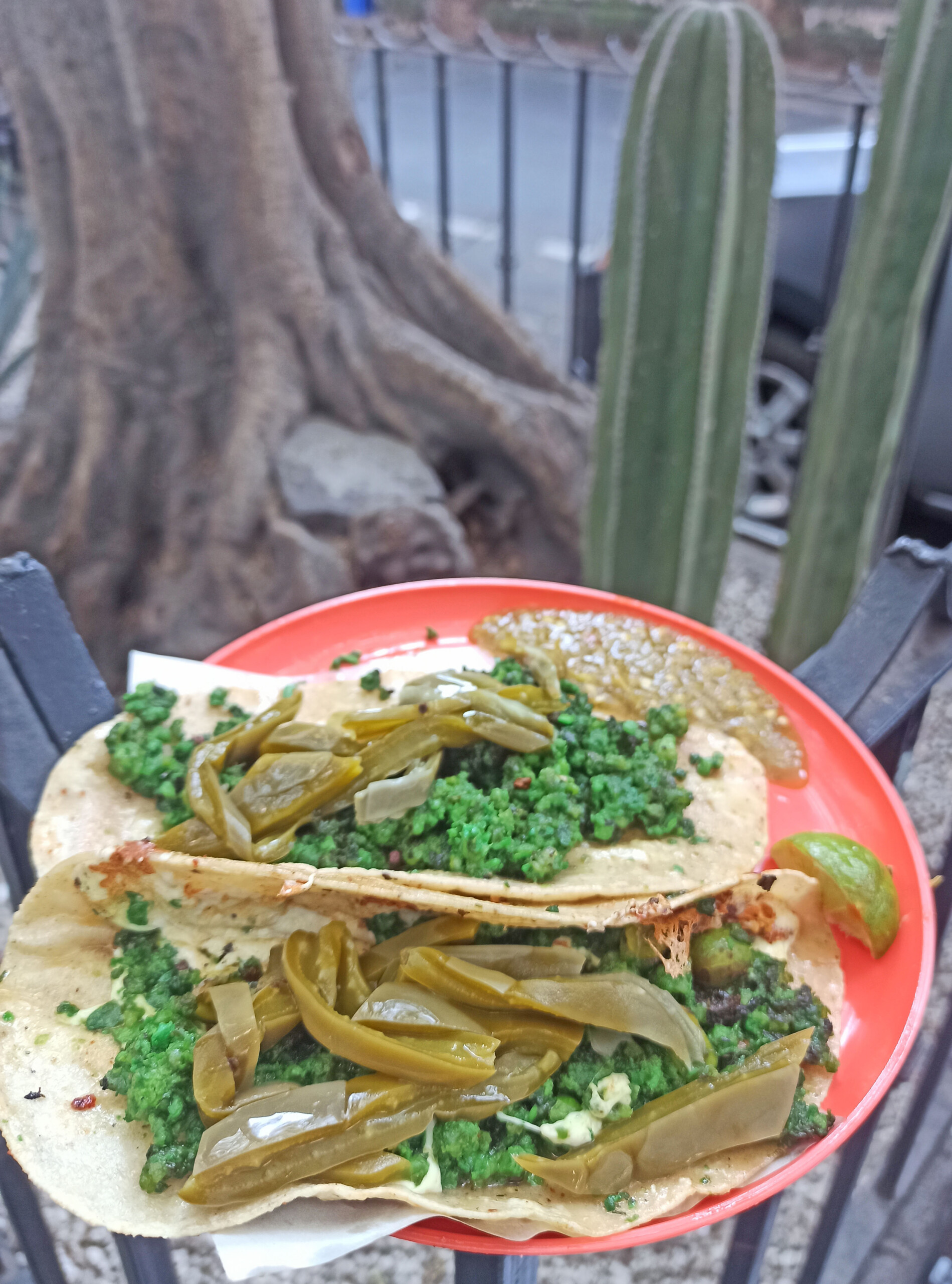 Chorizo verde tacos in Mexico City