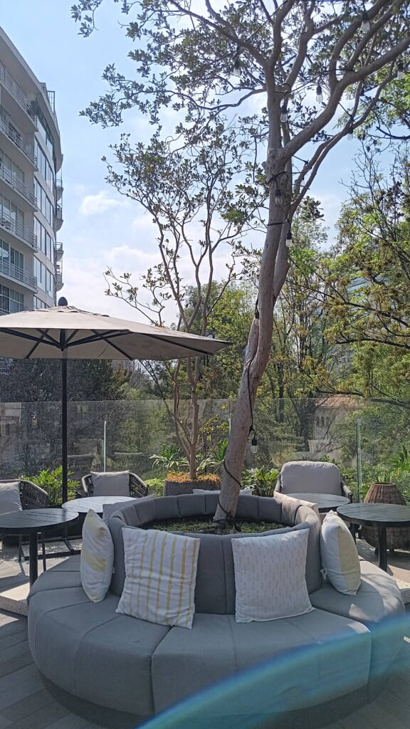 a patio with a tree and umbrella