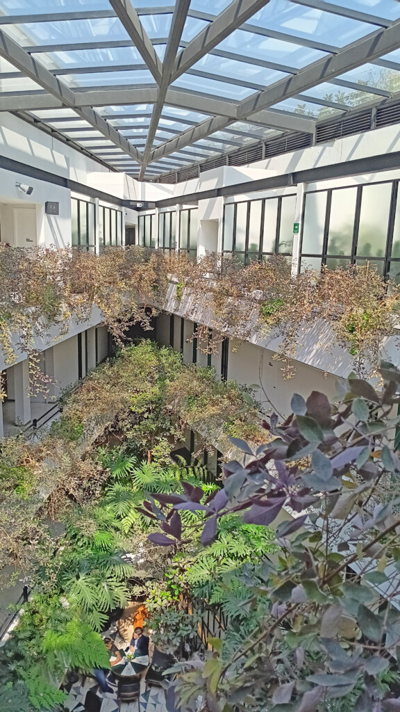 a building with plants growing on the ground