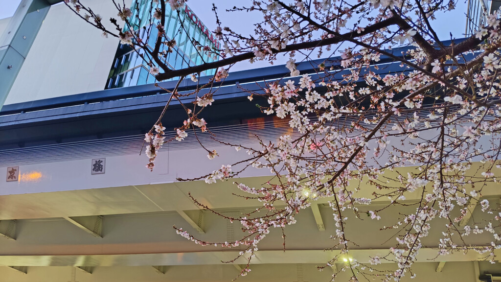 Plum Blossoms by the old Kyobashi Bridge, with Konami sign in the distance