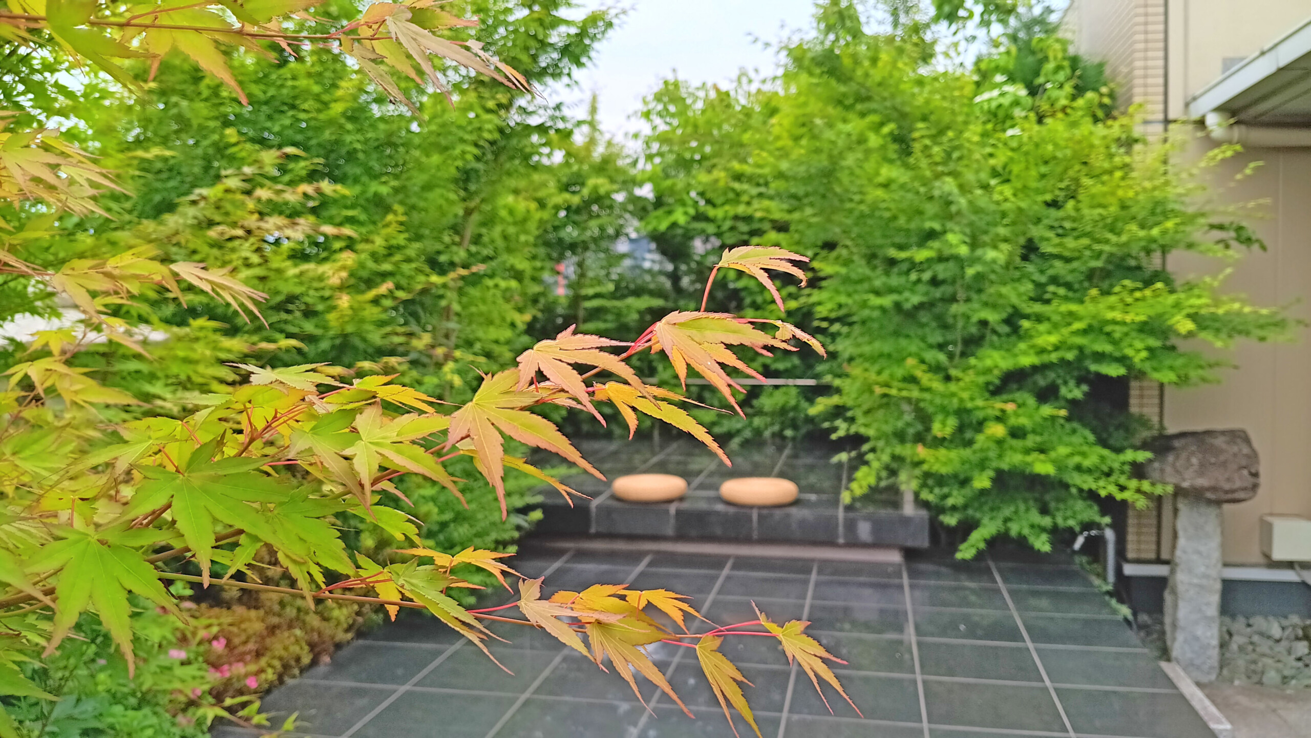 Meditation Space