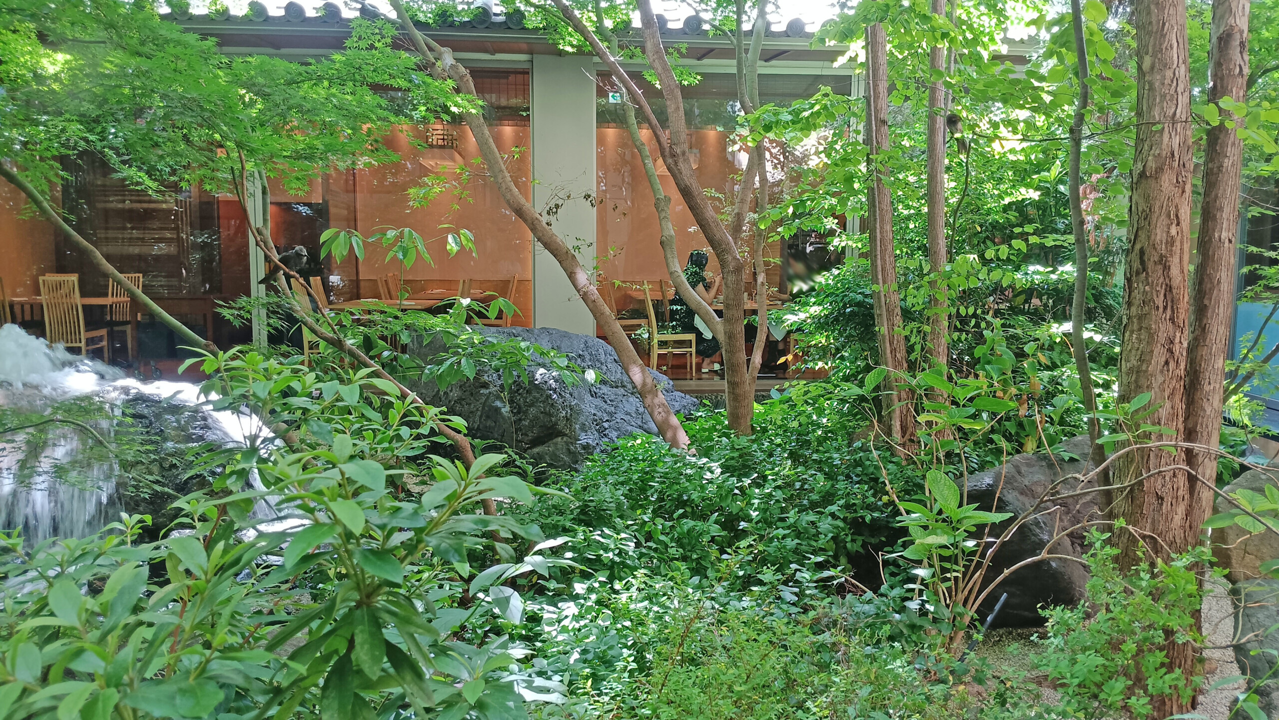 Niwa Ground Floor Garden with Brown-breasted Bulbul