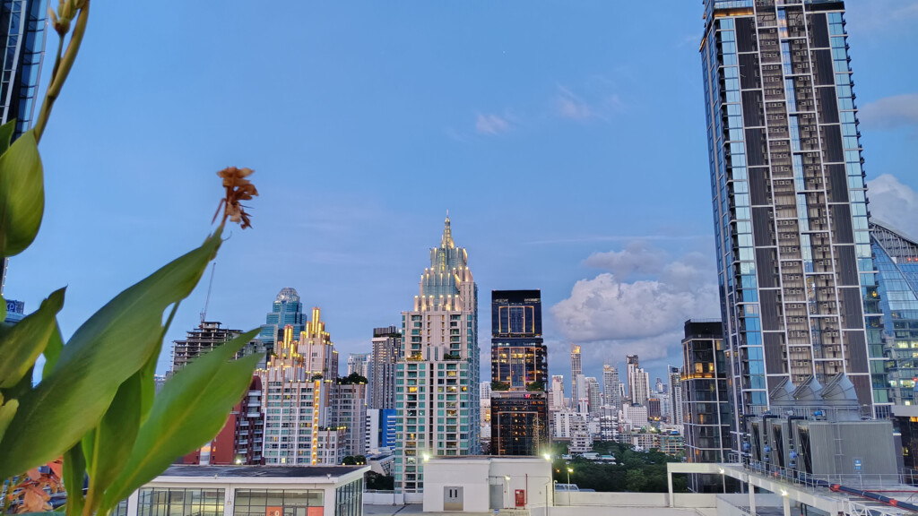 a city skyline with tall buildings