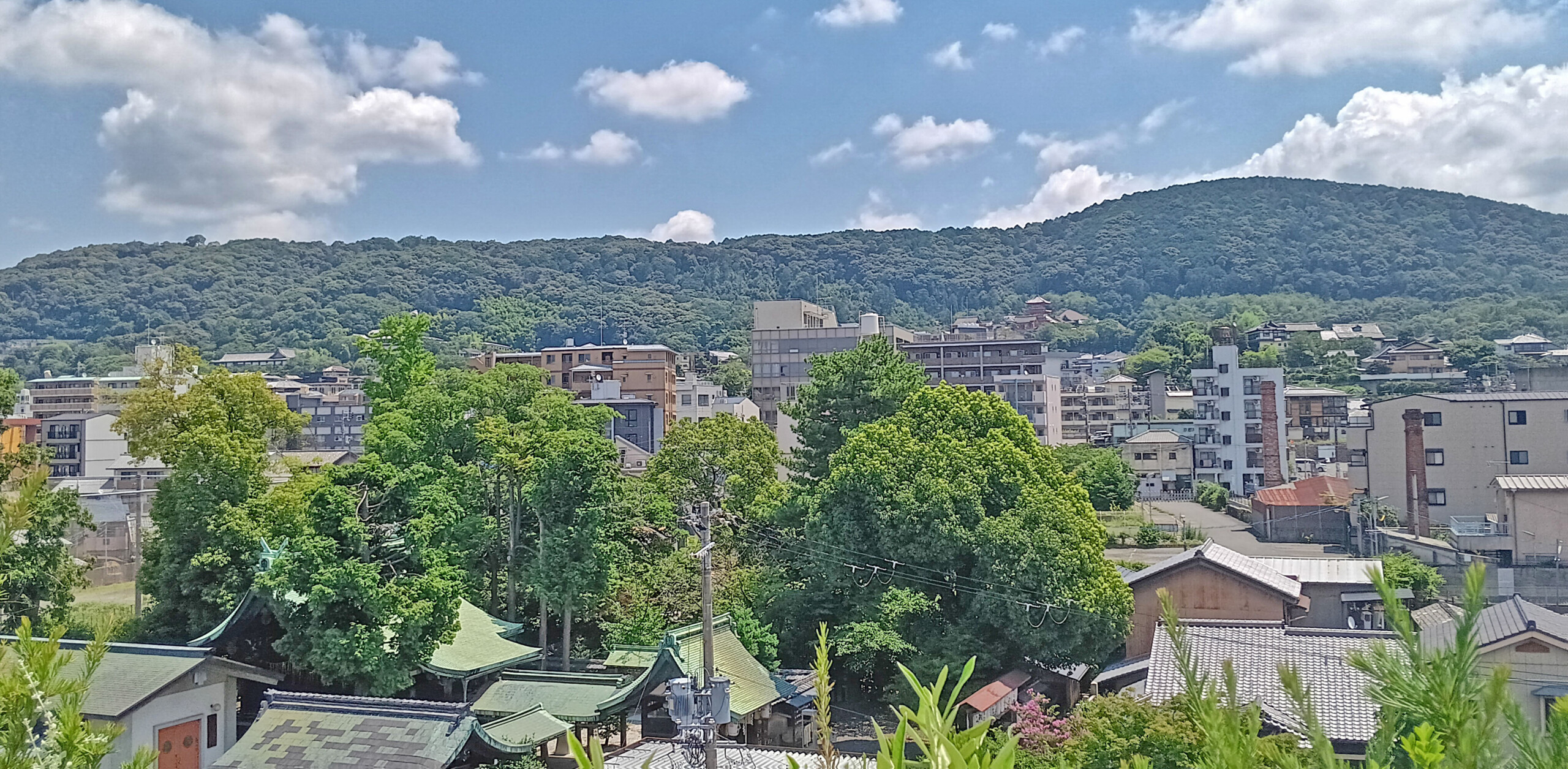 Rooftop View East
