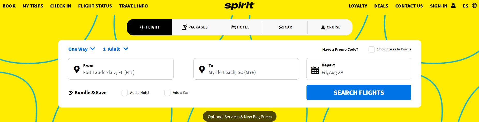 Spirit flight search