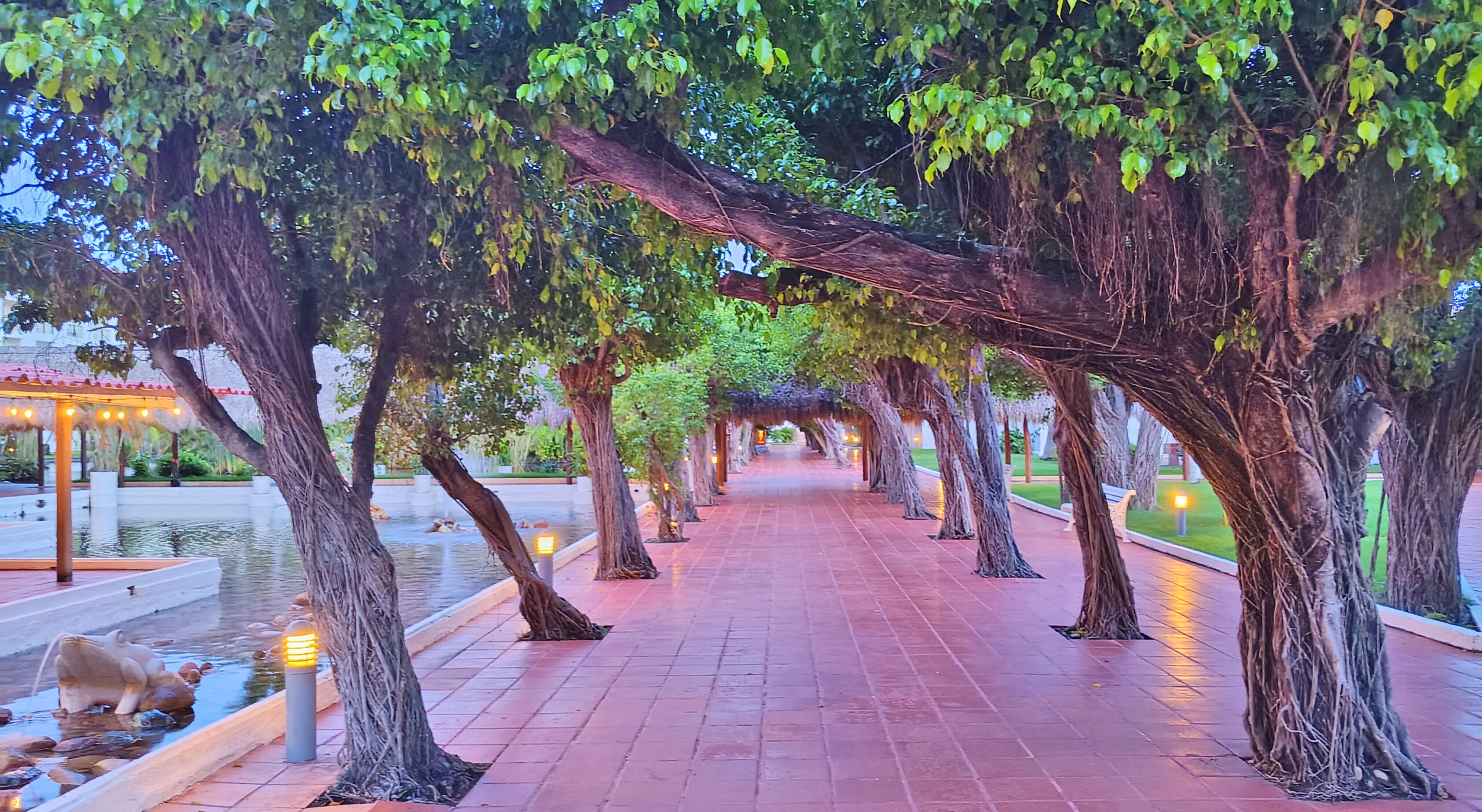 One of Many Outdoor Paths