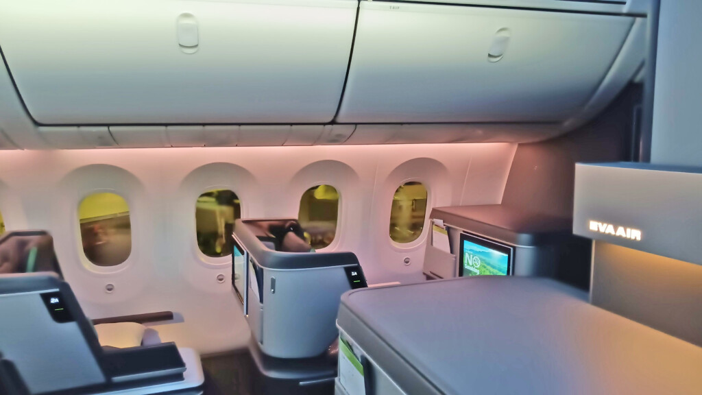 787 Business class #3