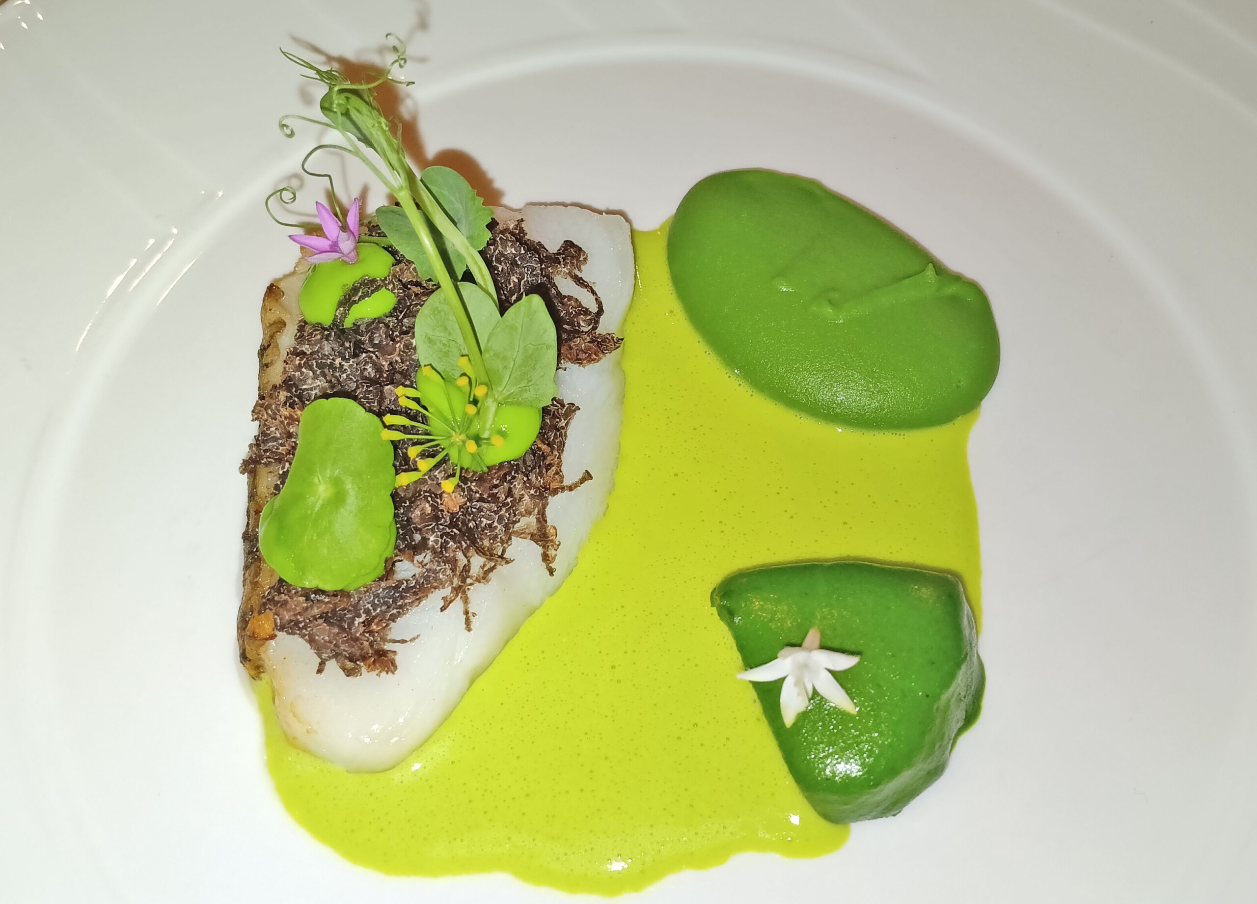 Merluzzo della Patagonia with sea urchin beurre blanc and green peas