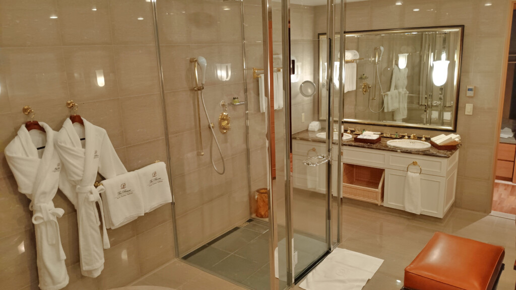 Tower View Suite bathroom #1