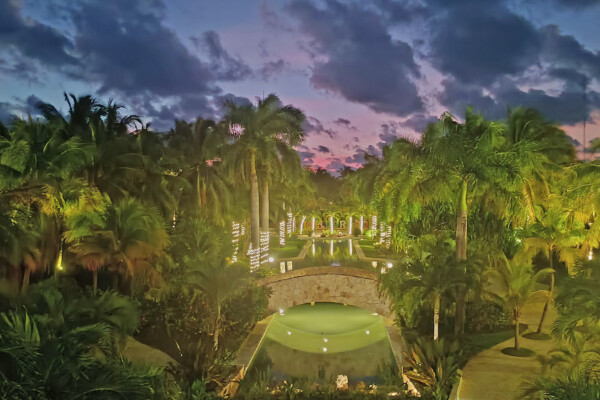a pool surrounded by palm trees