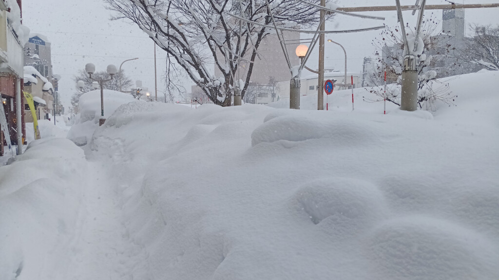 a snow covered street with trees and street lights