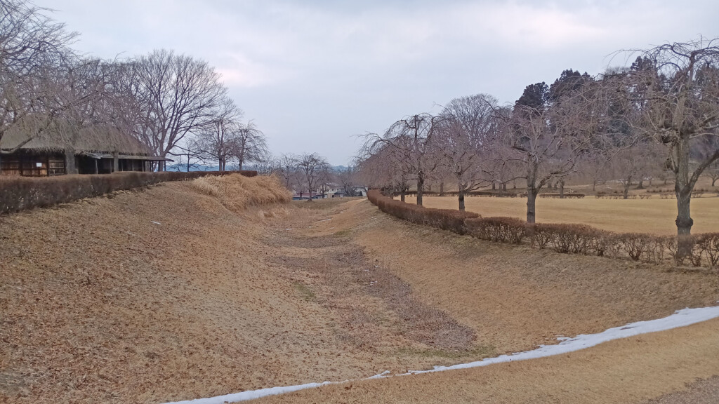 a field with trees and bushes