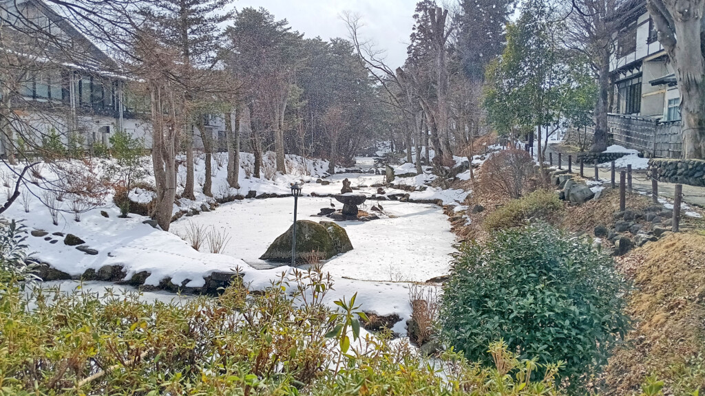 a snow covered pond with trees and bushes