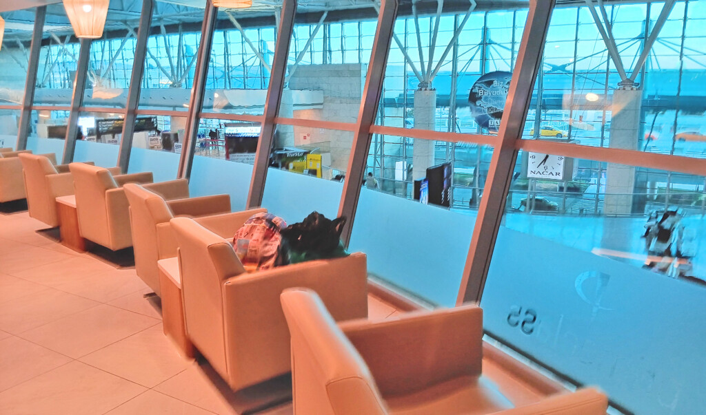 a group of chairs in a room with large windows