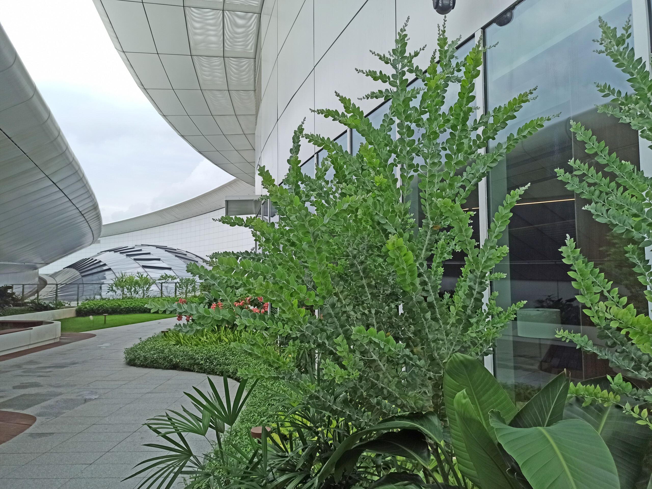 Part of the outdoor space