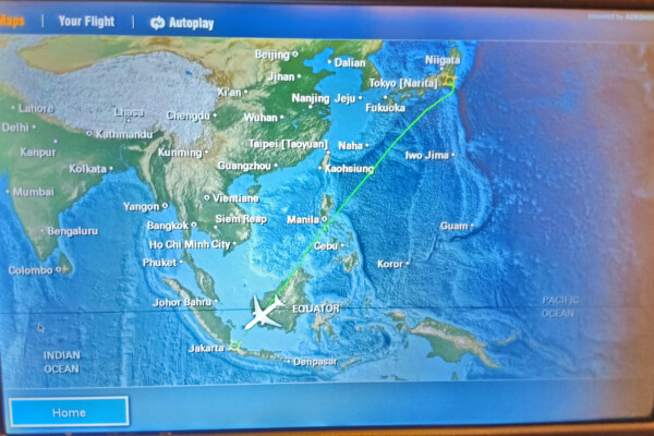 JAL NRT-CGK in-flight map 2026