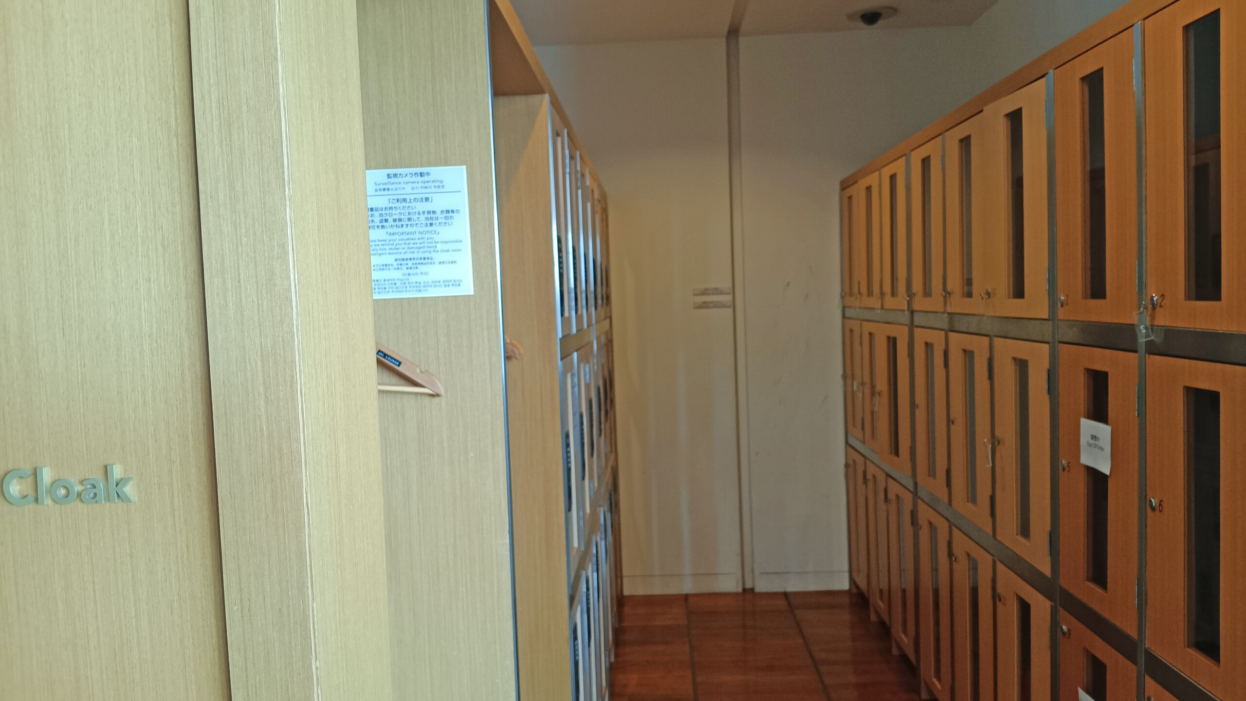 Luggage storage