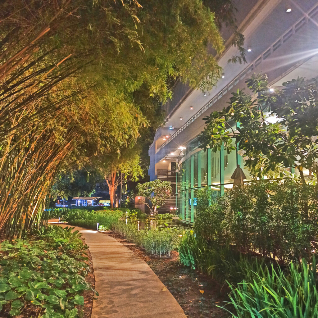 Bamboo path to Chao Phraya River shuttle boat